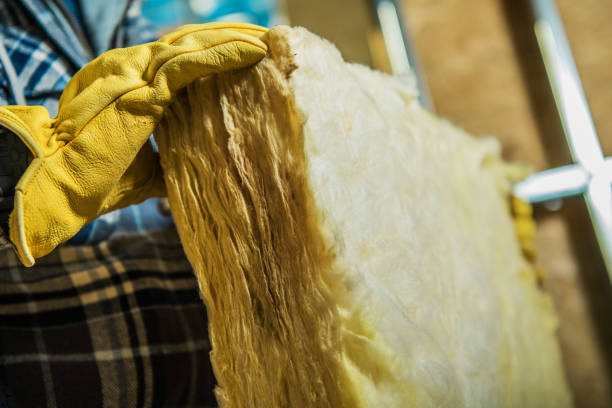 Best Eco-Friendly Insulation in Kirkland, IL