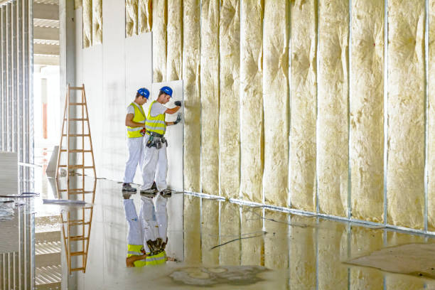 Best Blown-in Insulation in Kirkland, IL